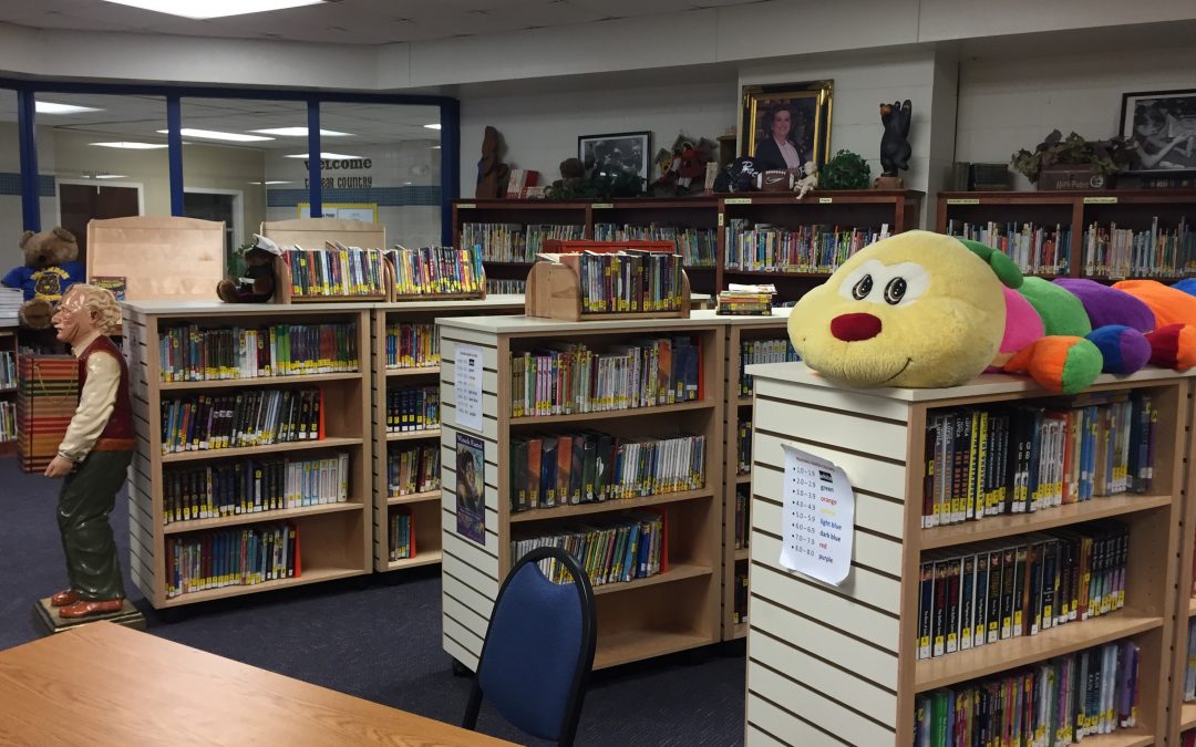 Brandon Elementary Library looking forward to the new school year