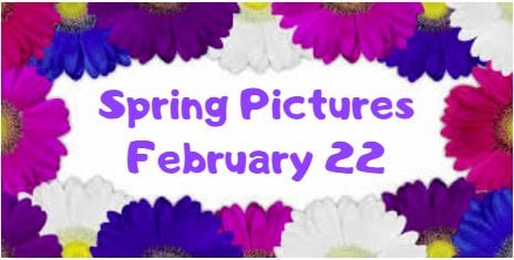 Spring Pictures Feb 22, 2019