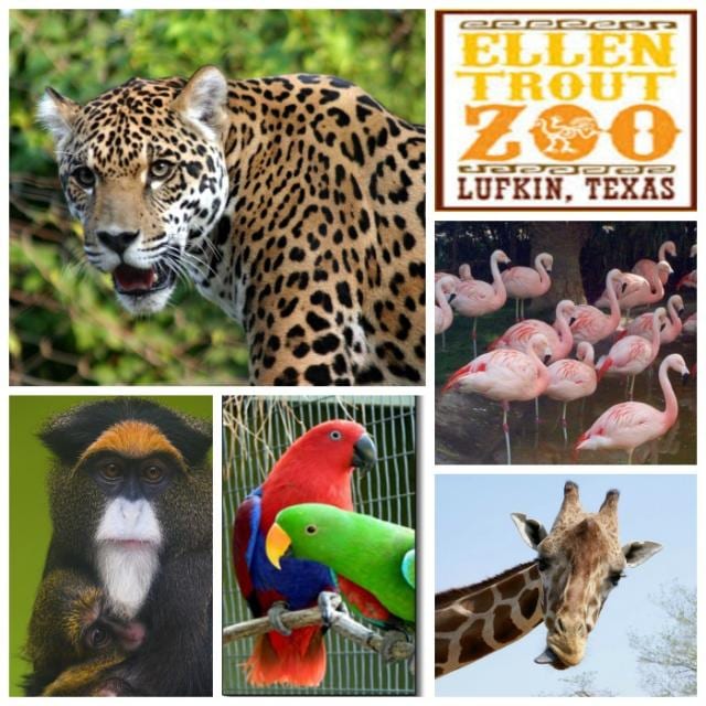 April 22, 2019 Ellen Trout Zoo Field Trip