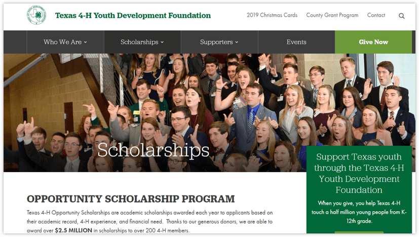 Texas 4-H Youth Development Foundation