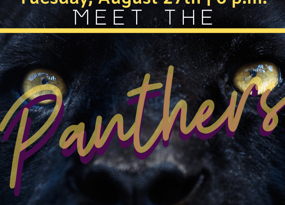 Meet the Panthers